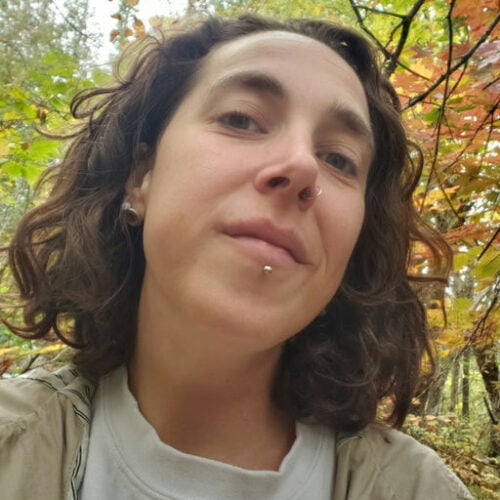 Future Forest Art Experience