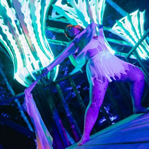 Future Forest Art Experience