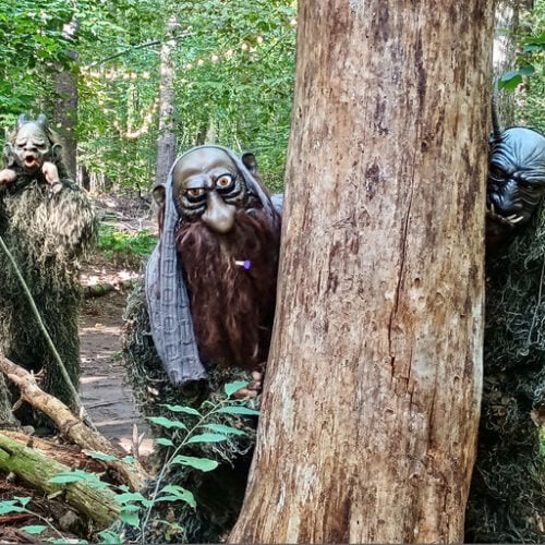 Future Forest Art Experience
