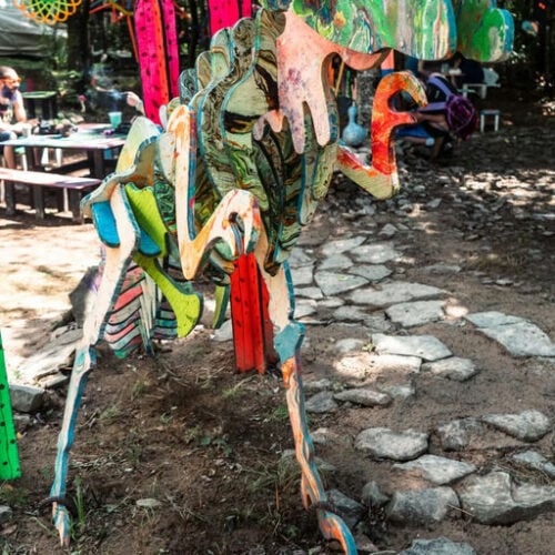 Future Forest Art Experience