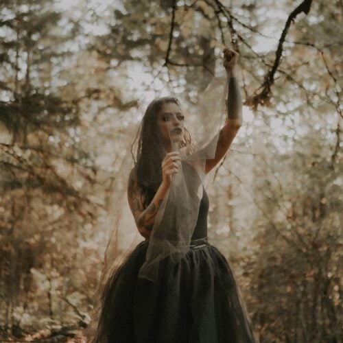 Future Forest Art Experience