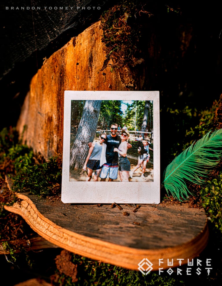 Photo du festival Future Forest 2025
