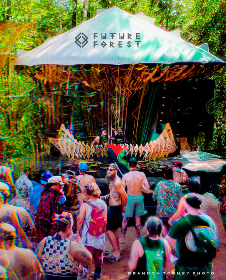 Photo du festival Future Forest 2025