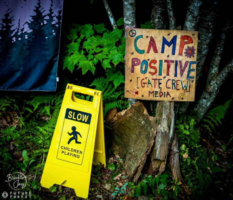 Photo du festival Future Forest 2025