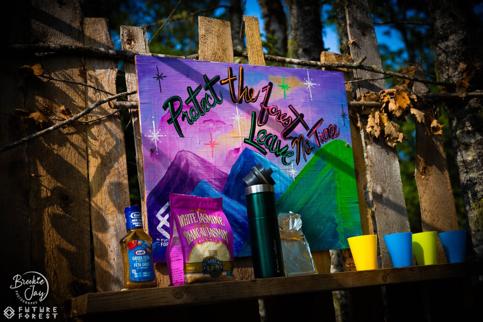 Colorful painted mural reading Protect the Forest displayed on a wooden frame with spray cans