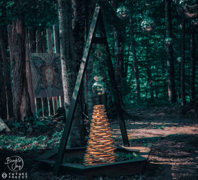 Photo du festival Future Forest 2025