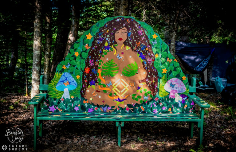 Photo du festival Future Forest 2025