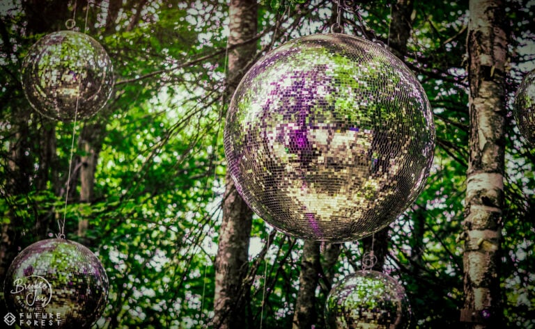 Photo du festival Future Forest 2025