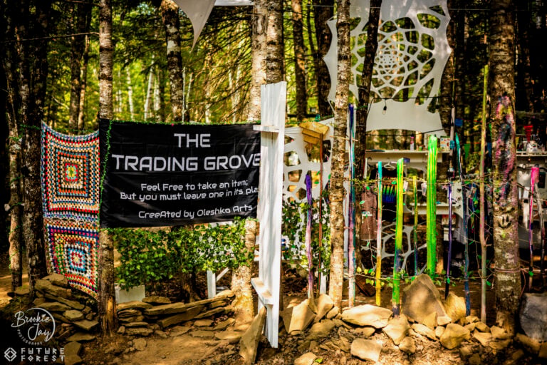 Photo du festival Future Forest 2025