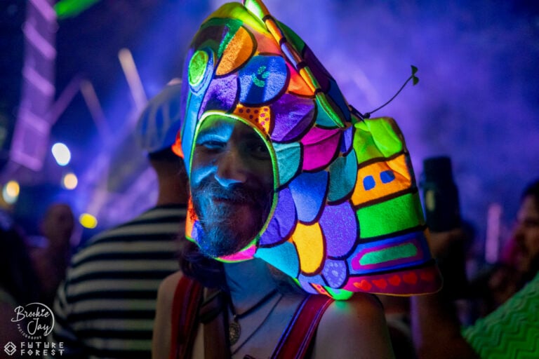 Photo du festival Future Forest 2025