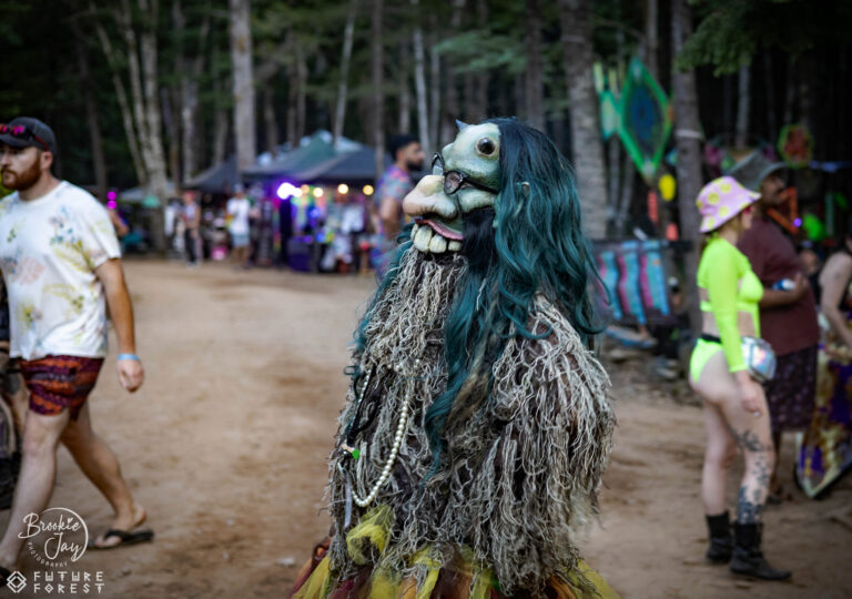 Photo du festival Future Forest 2025