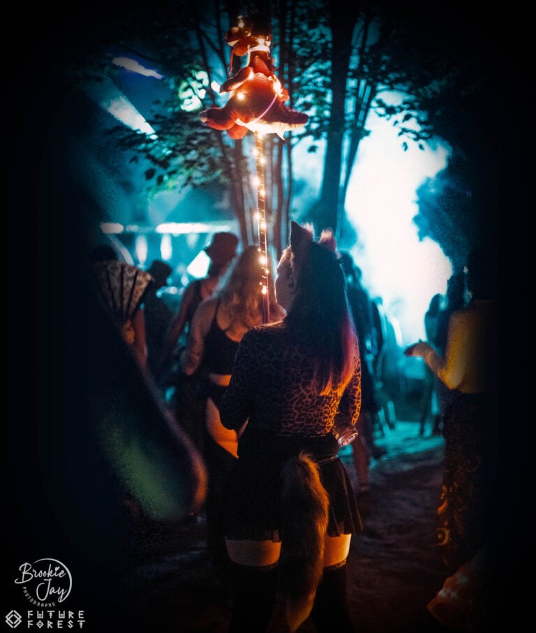 Photo du festival Future Forest 2025