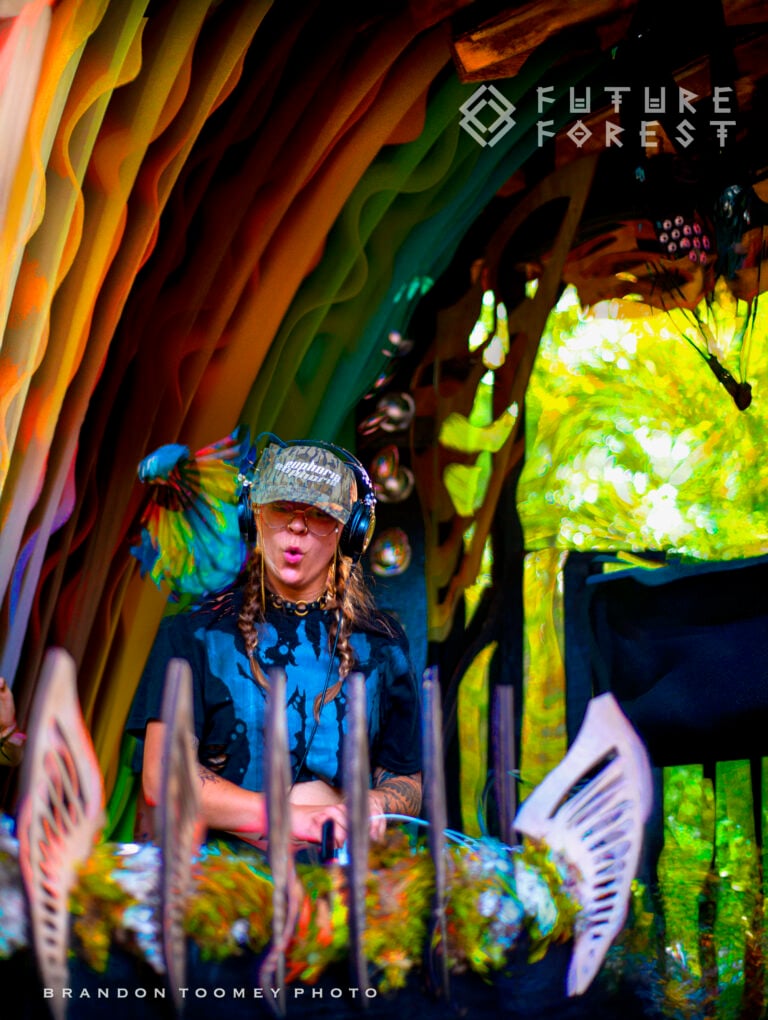 Photo du festival Future Forest 2025