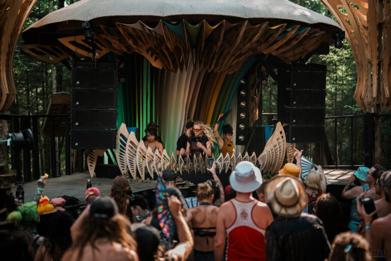 Photo du festival Future Forest 2025