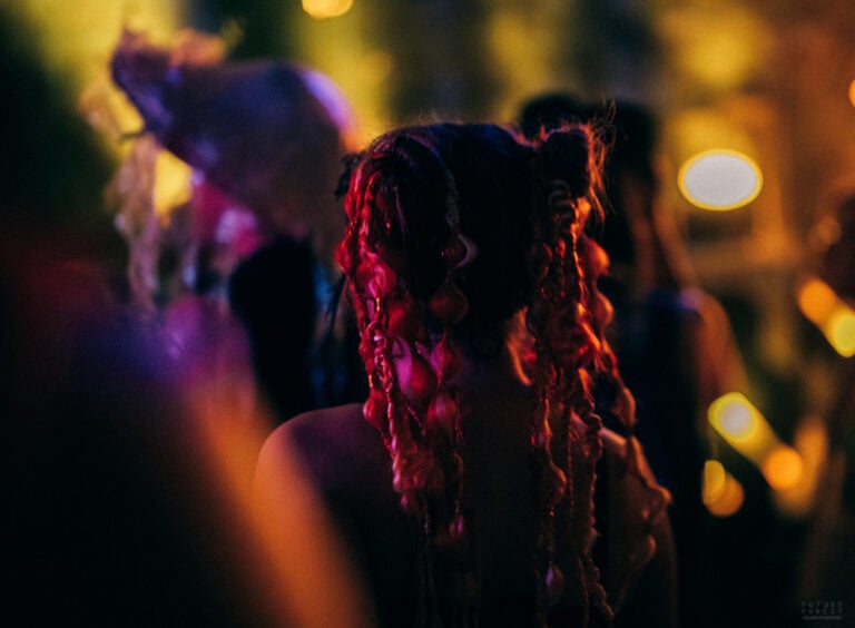 Photo du festival Future Forest 2025