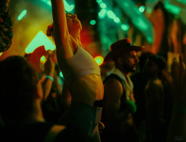 Photo du festival Future Forest 2025