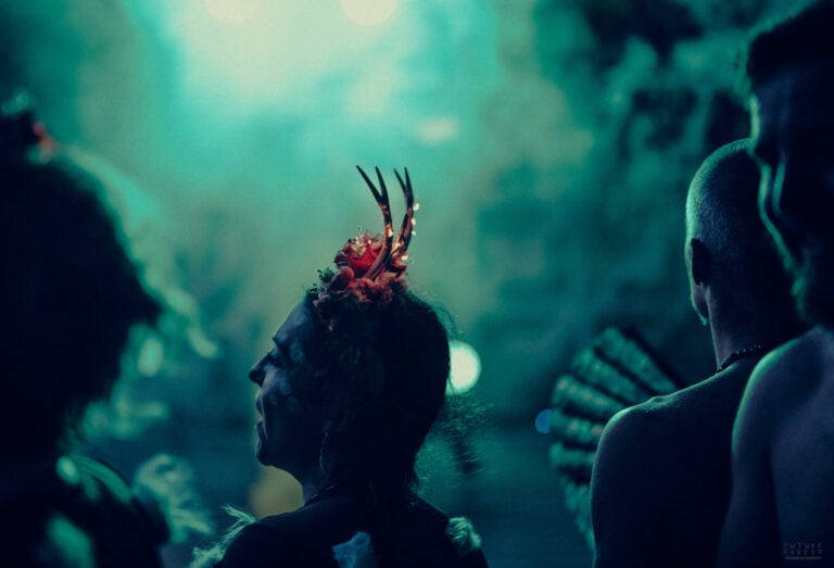 Photo du festival Future Forest 2025