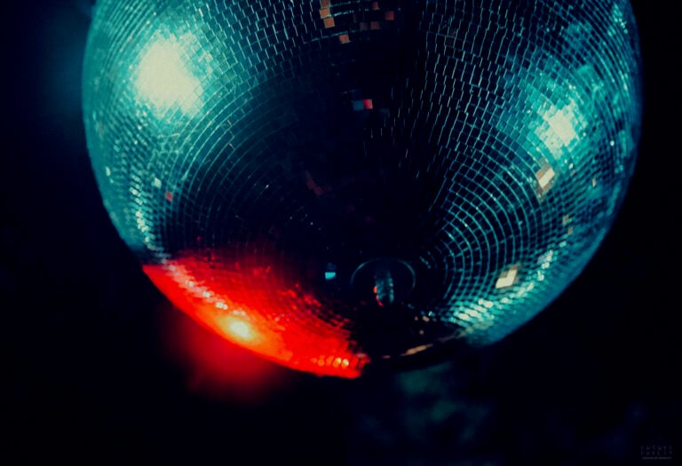 Photo du festival Future Forest 2025