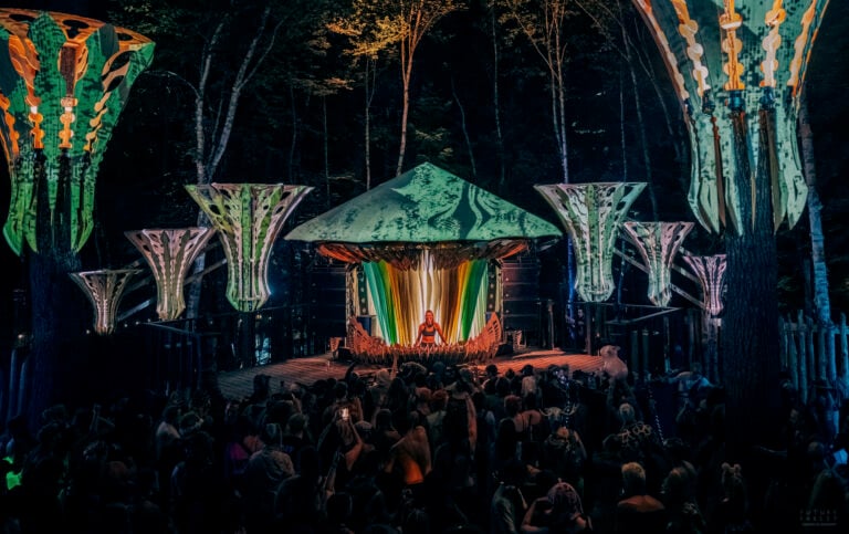 Photo du festival Future Forest 2025