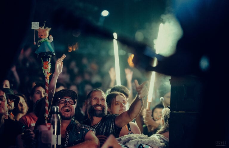 Photo du festival Future Forest 2025