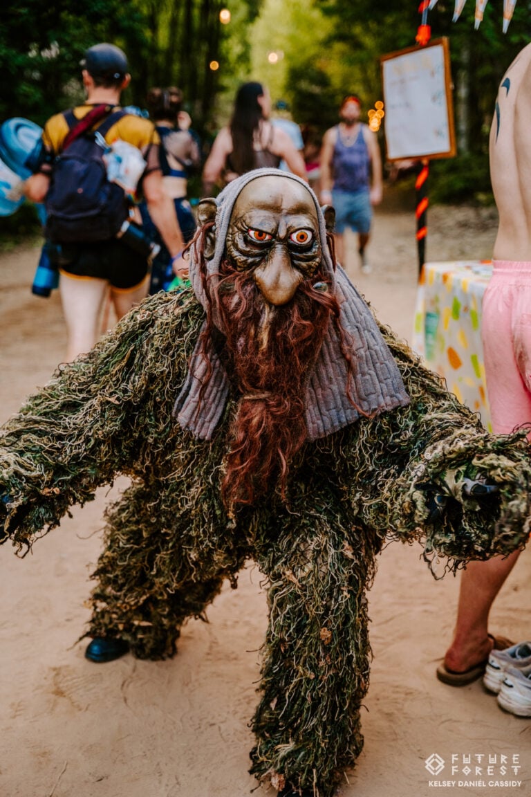 Photo du festival Future Forest 2025