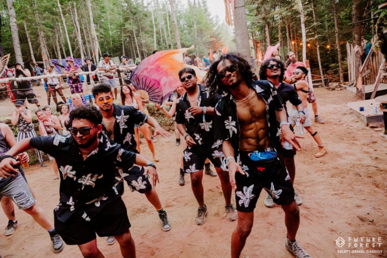 Photo du festival Future Forest 2025