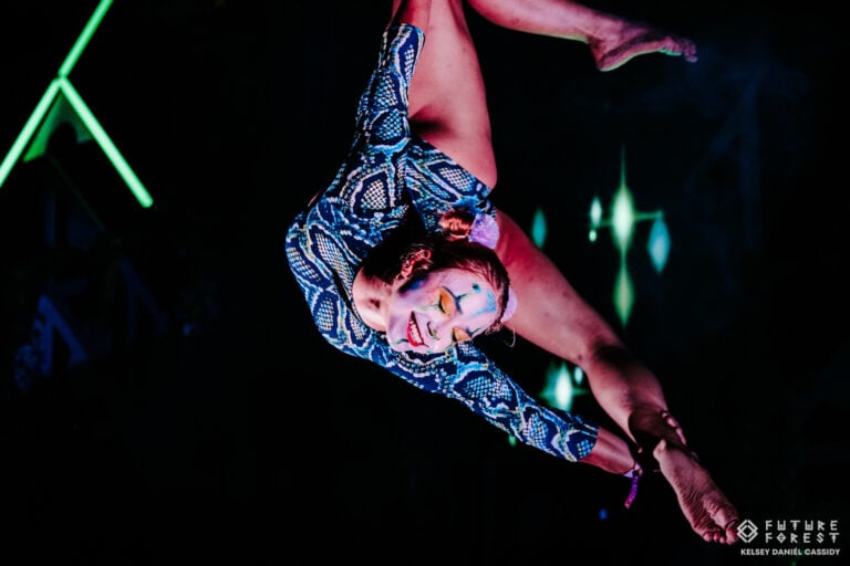 Photo du festival Future Forest 2025