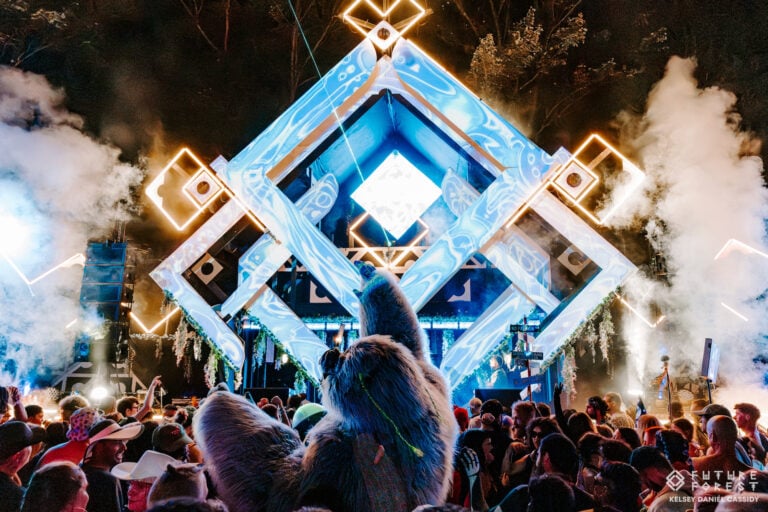 Photo du festival Future Forest 2025