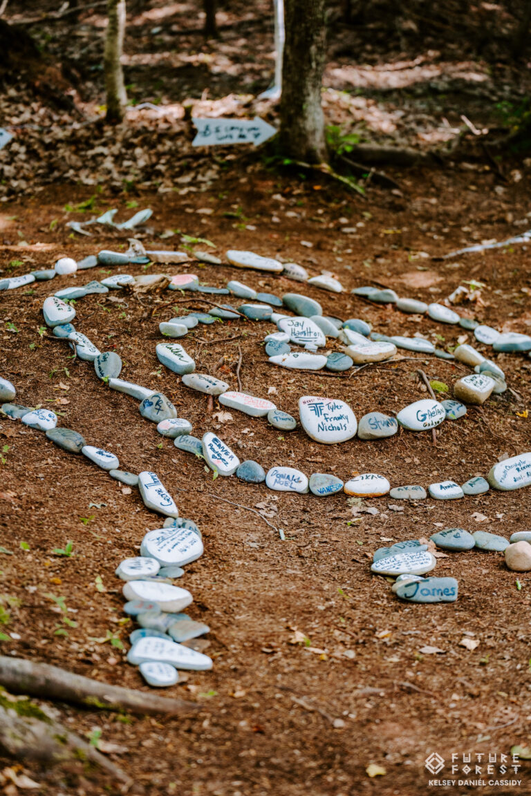 A stone spiral land-art installation at Future Forest