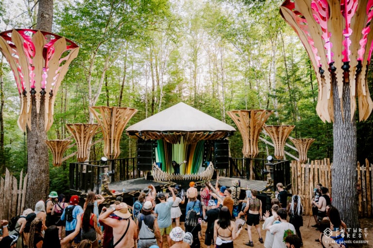 Photo du festival Future Forest 2025