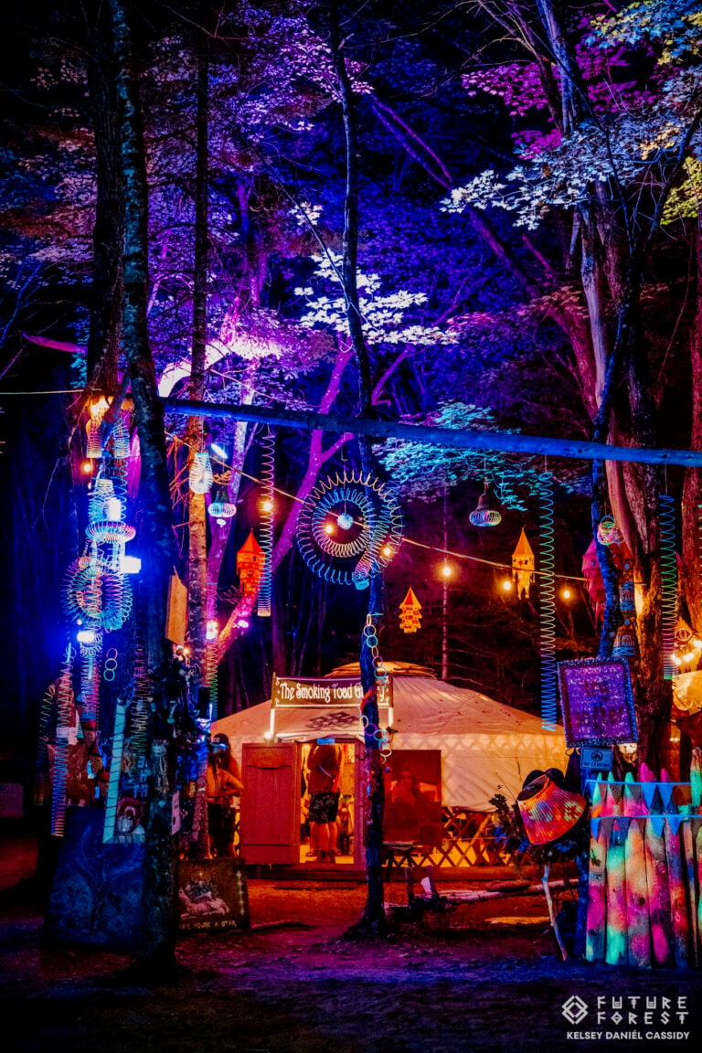 Photo du festival Future Forest 2025
