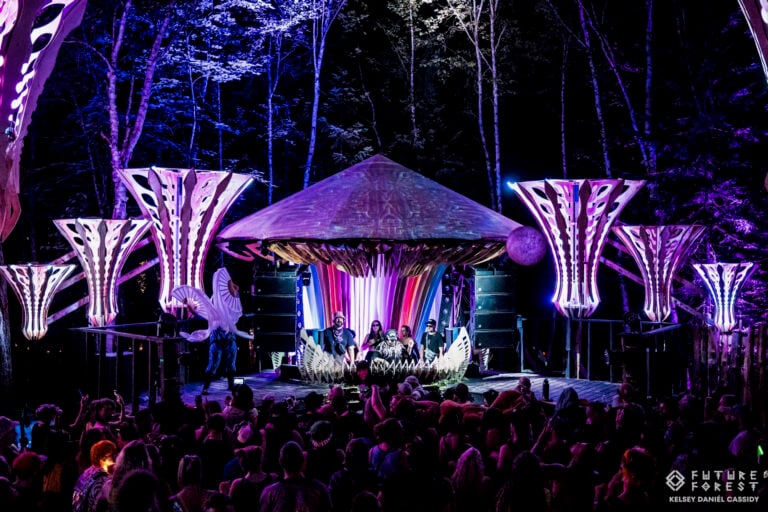 Photo du festival Future Forest 2025