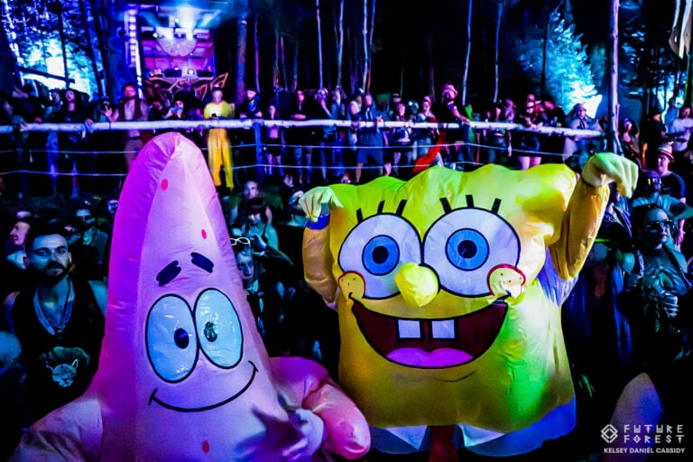 Photo du festival Future Forest 2025