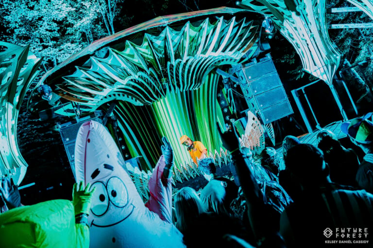 Photo du festival Future Forest 2025