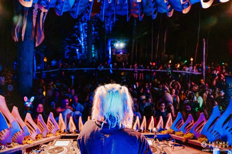 Photo du festival Future Forest 2025