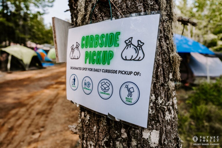 Photo du festival Future Forest 2025