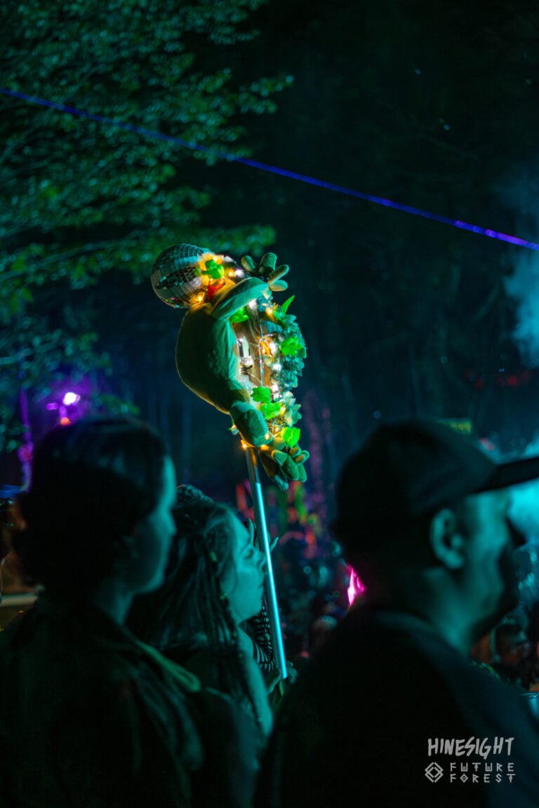 Photo du festival Future Forest 2025