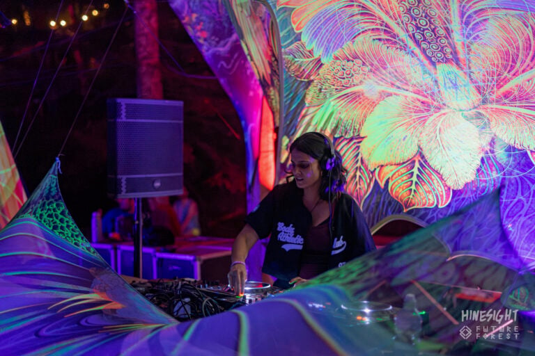 Photo du festival Future Forest 2025