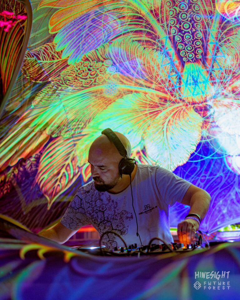 Photo du festival Future Forest 2025