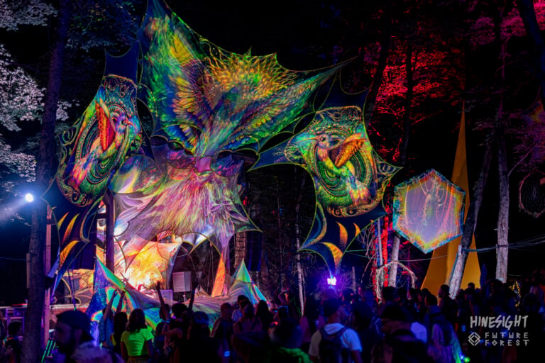 Photo du festival Future Forest 2025
