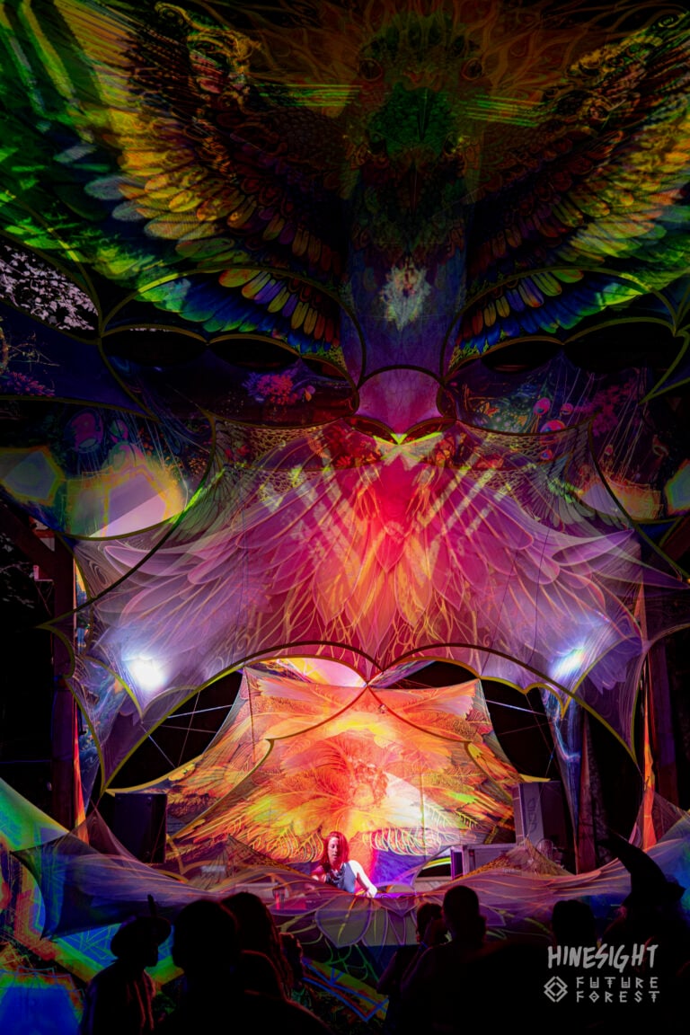 Photo du festival Future Forest 2025