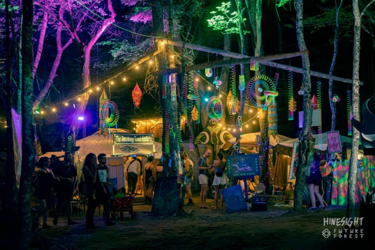Photo du festival Future Forest 2025