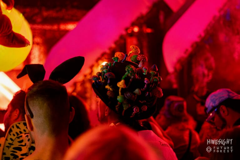Photo du festival Future Forest 2025