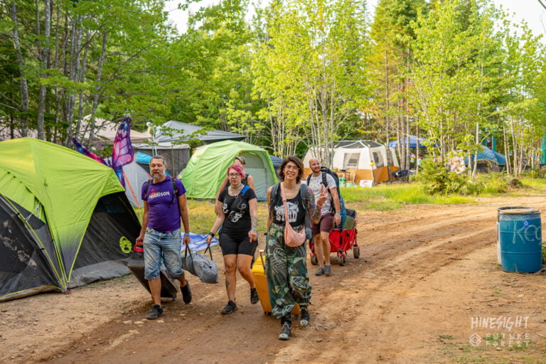 Photo du festival Future Forest 2025