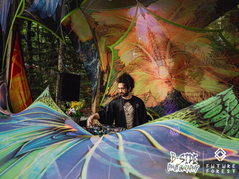 Photo du festival Future Forest 2025