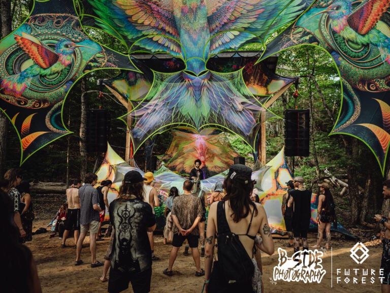 Photo du festival Future Forest 2025