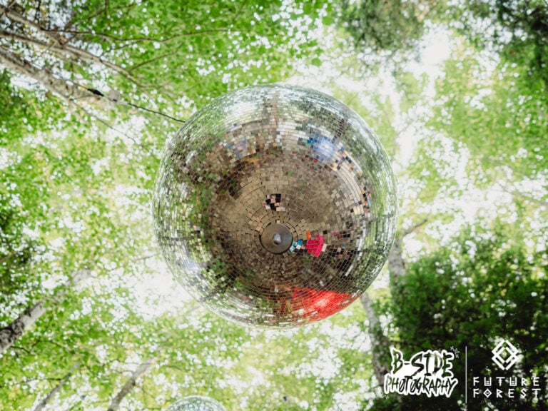 Photo du festival Future Forest 2025