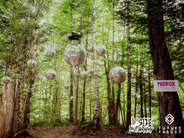 Photo du festival Future Forest 2025