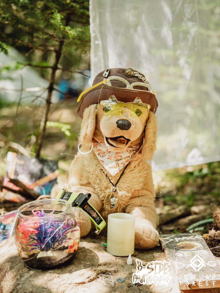 Photo du festival Future Forest 2025