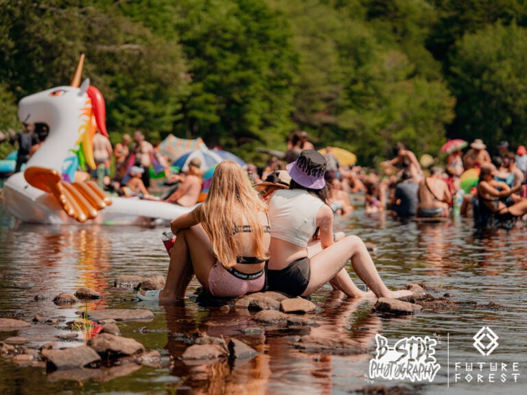 Photo du festival Future Forest 2025